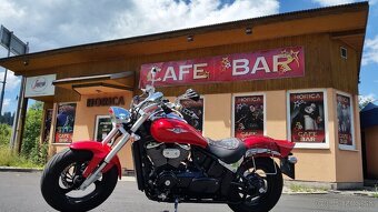 Suzuki Intruder M800 Cobra - 5