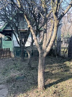 Záhradka na predaj pri Váhu - 5