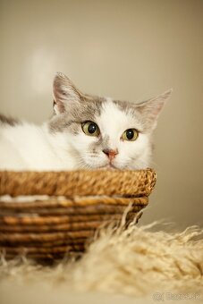 ❤ Johanka - tichá, vďačná a dobrá - 5