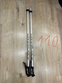 Lyžiarske palice - 5