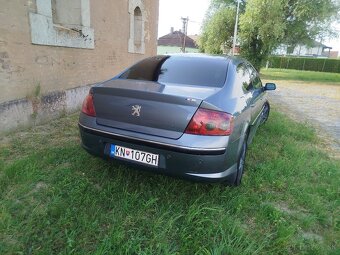 Peugeot 407 2.0 hdi - 5