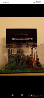 Akvário - 5