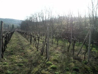 Investičný pozemok Krasňany BA III. - 5