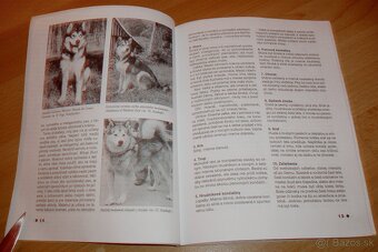 Severské plemená psov - 5