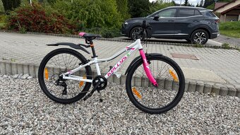 Kellys Kiter 30 - 5