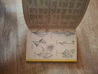 Was blüht denn da - 5