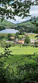 Dom s altánkom, murovaným krbom, pivnicou do svahu, - 5