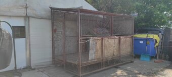 Koterec - 5