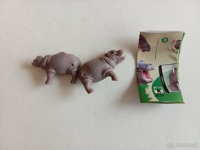 Kinder natoons 2024 - 5