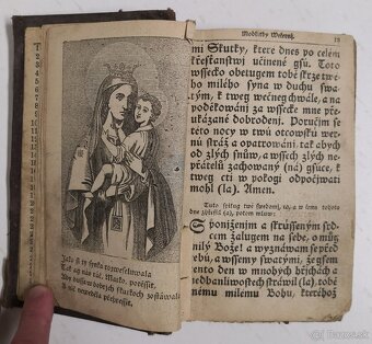 Stepná zahradka 1850 - 5