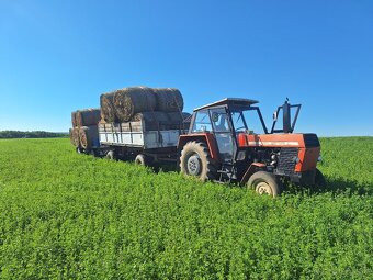Zetor 8011 + fekál - 5
