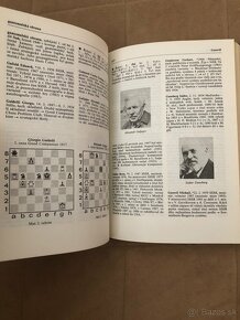 Malá encyklopedie šachu - 5