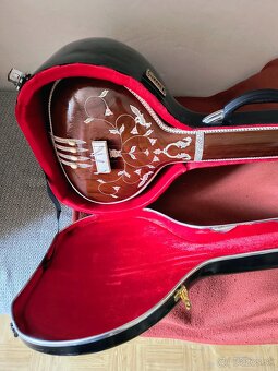 Tanpura - 5