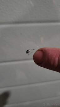 Čelné sklo VW passat B5.5 - 5