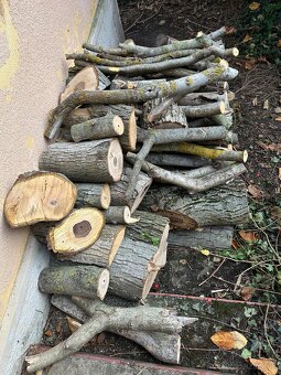 Palivové drevo Orech - 5