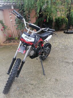 Predam pitbike xtr125 - 5