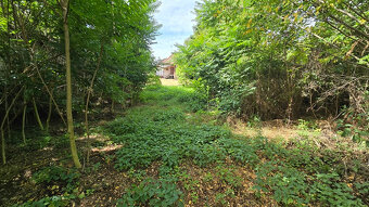 RD s pozemkom 1162 m2 v obci Jur nad Hronom - 5