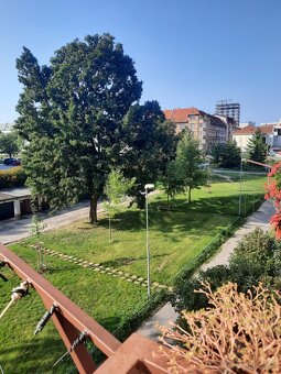 3 - izb. tehlový byt, Staré mesto, komplet. rekonšt. - 5