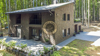 Na predaj luxusná vila rekreačnej oblasti Modra Piesok - 5