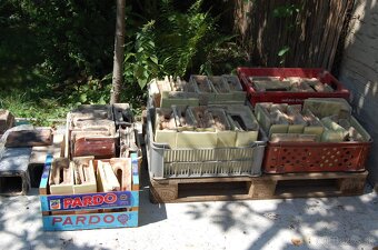 Predaj keramické kachlice. - 5