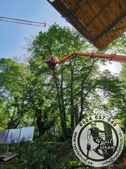 Pilenie a orezavanie stromov, kosenie a udrzba zahrad - 5