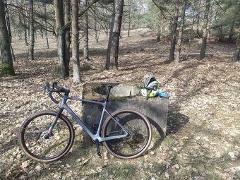Gravel Bergamont Grandurance Expert 57 - 5