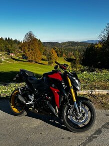 Suzuki GSX-S1000 - 5