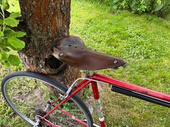 Pánsky bicykel Favorit - 5