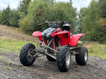 Honda TRX400EX - 5