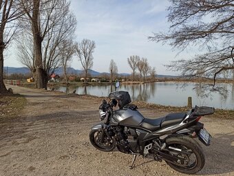 Suzuki Bandit - 5