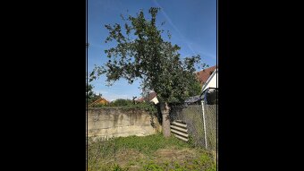 Na predaj starší rodinný dom s veľkou záhradou - 5