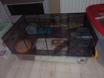 Škrečok+ klietka - 5