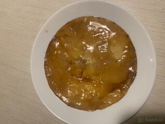 Kombucha / scoby - 5