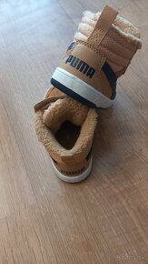 Puma - 5
