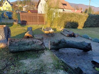 Predám orechové drevo - 5