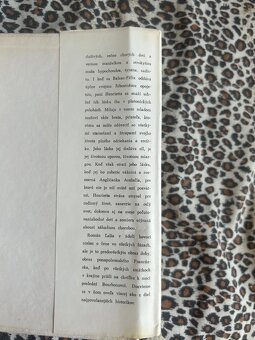 Ľalia v údolí - Honoré de Balzac - 5