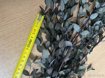 Stabilizovany eukalyptus - 5