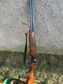 Gulobrok - 5