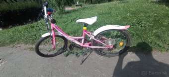 CTM Maggie 2.0 - 20" - 5