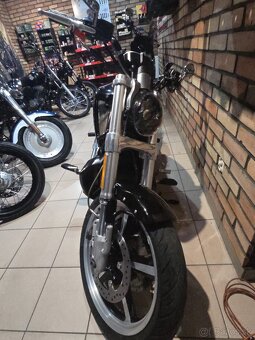 BD Vroad Muscle - 5