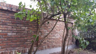 Cenovo dostupné murárske a stavebné práce Bratislava - 5