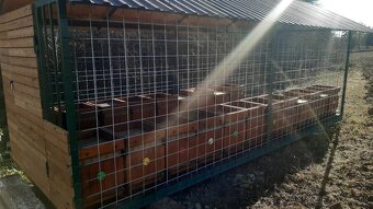 Predam včelin, klietka na uľe - 5