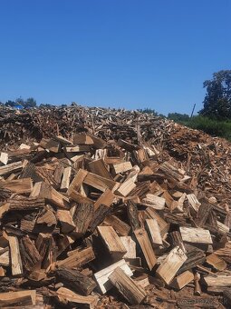 K R B O V É DREVO tvrdé - 5