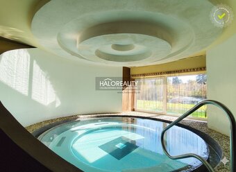 HALO reality - Prenájom, reštauračný priestor Dudince, Bar a - 5