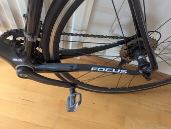 Focus Cayo - 5