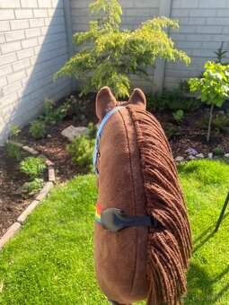 Hobbyhorse - 5