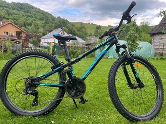 Kellys Kitter 50 - 5