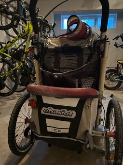 Thule Chariot - 5