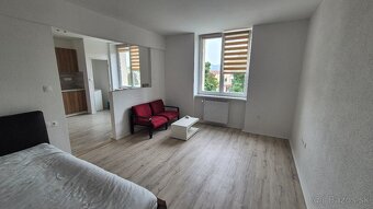 Prenájom 1-izbového bytu - 5