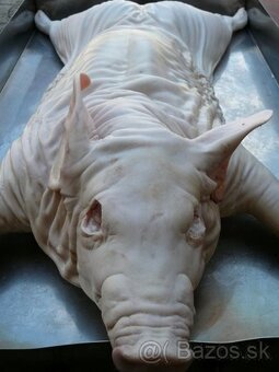 PECENE PRASIATKO S OBLOHOU - 5